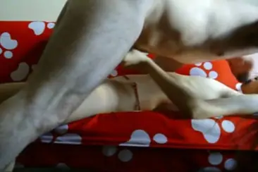 ABG Bispak Jakarta Live Dari Kamar Hotel Bintang Lima Semua Lumer